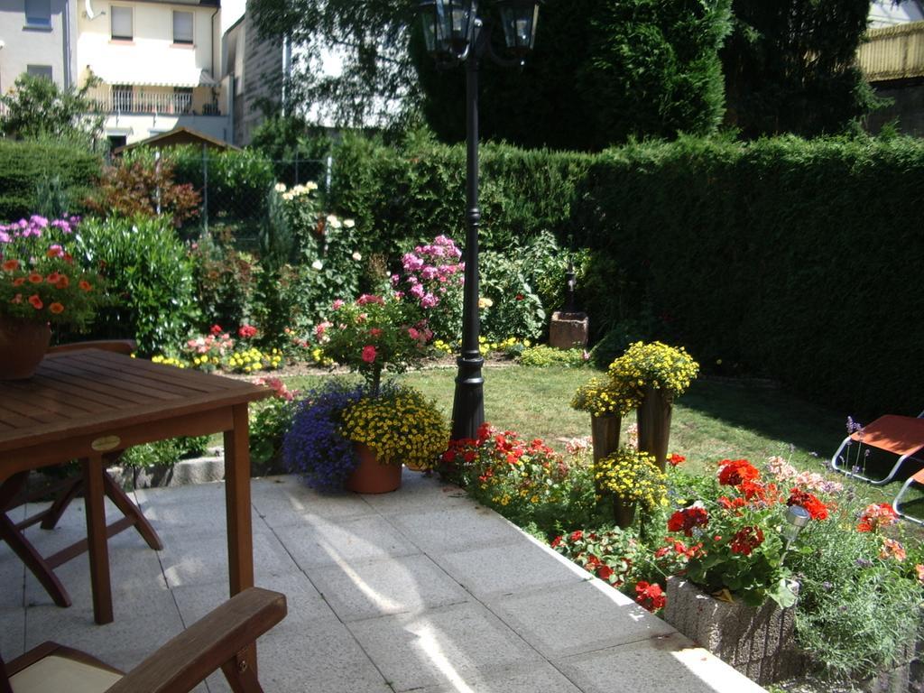 Hotel Gaestehaus Resi Zeltingen-Rachtig Exteriér fotografie